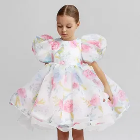 "Celeste" Elegant Party Dress